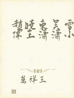 赵晓东吴雪晴郑伟王潇潇小说名字