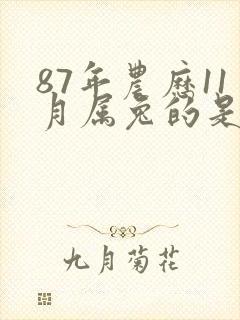 87年农历11月属兔的是什么命运