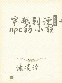 穿越到湮婸世界npc的小说