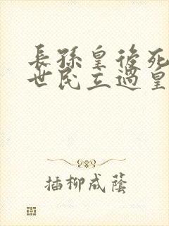 长孙皇后死后李世民立过皇后吗
