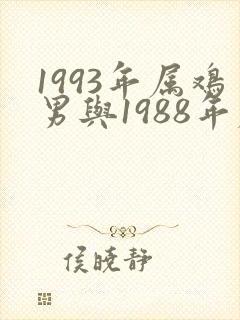 1993年属鸡男与1988年属龙女的婚配