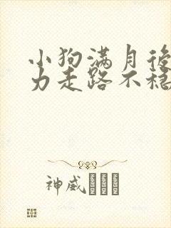 小狗满月后腿无力走路不稳