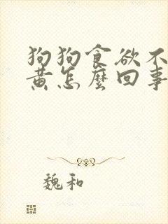 狗狗食欲不振尿黄怎么回事