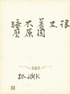 睡不着又很困什么原因封面