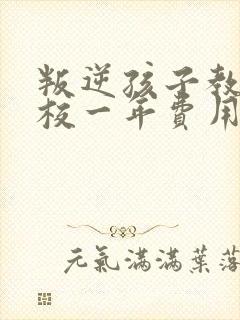 叛逆孩子教育学校一年费用多少