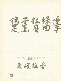 鸽子拉绿便吐食是怎么回事