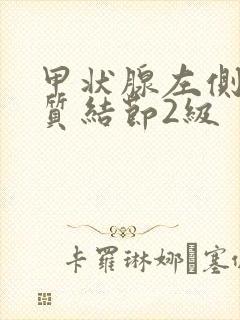 甲状腺左侧叶胶质结节2级封面