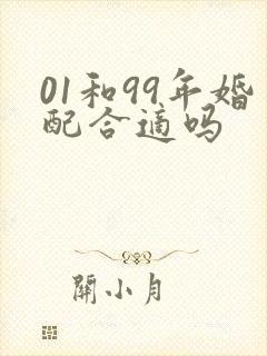 01和99年婚配合适吗封面