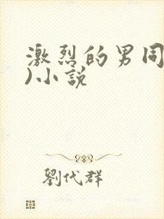 激烈的男同(h)小说