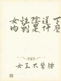 女性阴道下有肉肉刺是什么原因