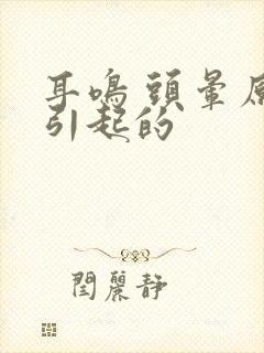 耳鸣 头晕原因引起的