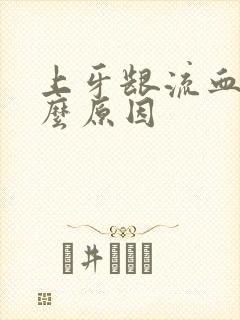 上牙龈流血是什么原因封面