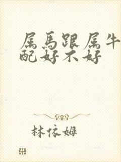 属马跟属牛的婚配好不好