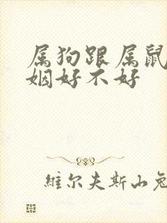 属狗跟属鼠的婚姻好不好封面