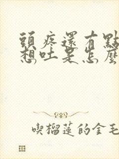 头疼还有点恶心想吐是怎么回事