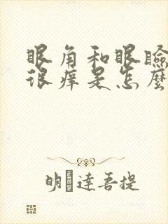 眼角和眼睑很痒很痒是怎么回事