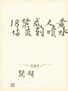 18禁成人黄网站爽到喷水封面