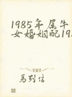 1985年属牛女婚姻配1988年属龙男