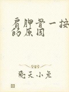 肩胛骨一按酸痛的原因