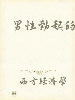 男性勃起的直径