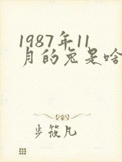 1987年11月的兔是啥命