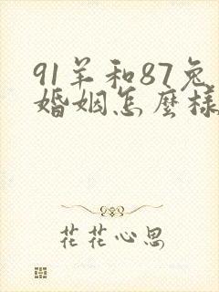 91羊和87兔婚姻怎么样