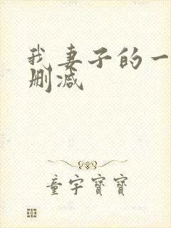 我妻子的一切未删减