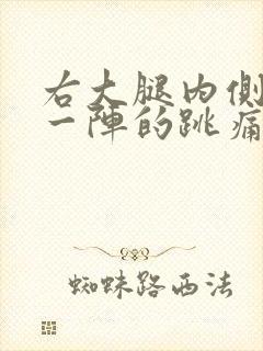 右大腿内侧一阵一阵的跳痛封面