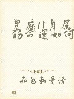 农历11月属猪的命运如何