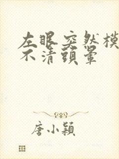 左眼突然模糊看不清头晕