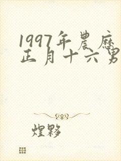 1997年农历正月十六男孩命运如何