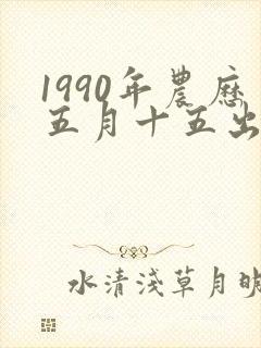1990年农历五月十五出生的女孩命运封面