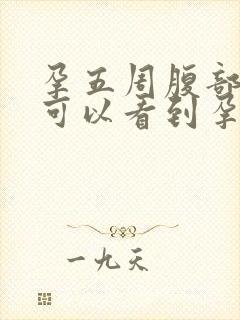 孕五周腹部b超可以看到孕囊吗封面