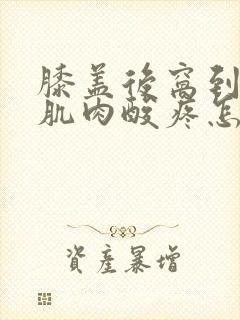 膝盖后窝到小腿肌肉酸疼怎么回事封面