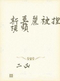 斯嘉丽被捏奶的视频封面