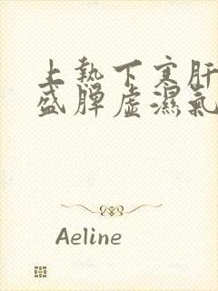 上热下寒肝火旺盛脾虚湿气重中成药