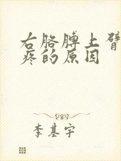 右胳膊上臂外侧疼的原因