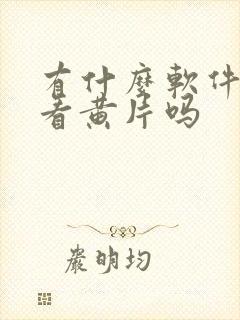 有什么软件可以看黄片吗