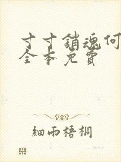 寸寸销魂何生祥全本免费