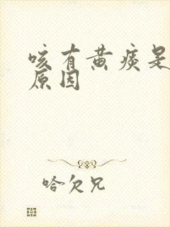 咳有黄痰是什么原因