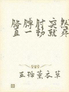 胳膊肘突然伸不直一动就疼怎么办