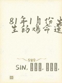 81年1月份出生的鸡命运如何