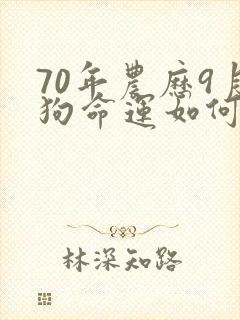 70年农历9月狗命运如何
