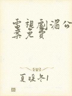 电视剧湄公河大案免费