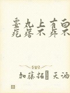 睾丸上有白色小疙瘩不疼不痒封面