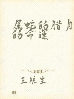 属蛇的腊月出生的命运封面