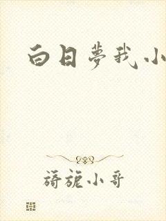 白日梦我小说