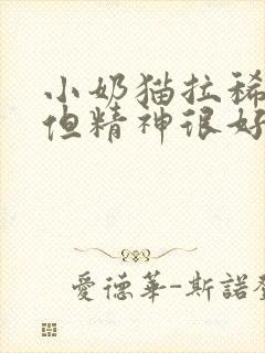 小奶猫拉稀带血但精神很好