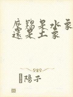 摩羯是水象星座还是土象