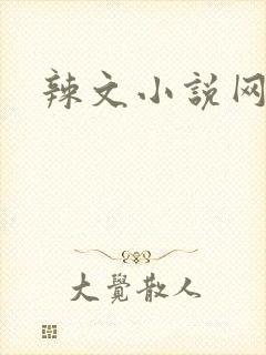 辣文小说网